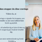 Sådan stopper du dine cravings